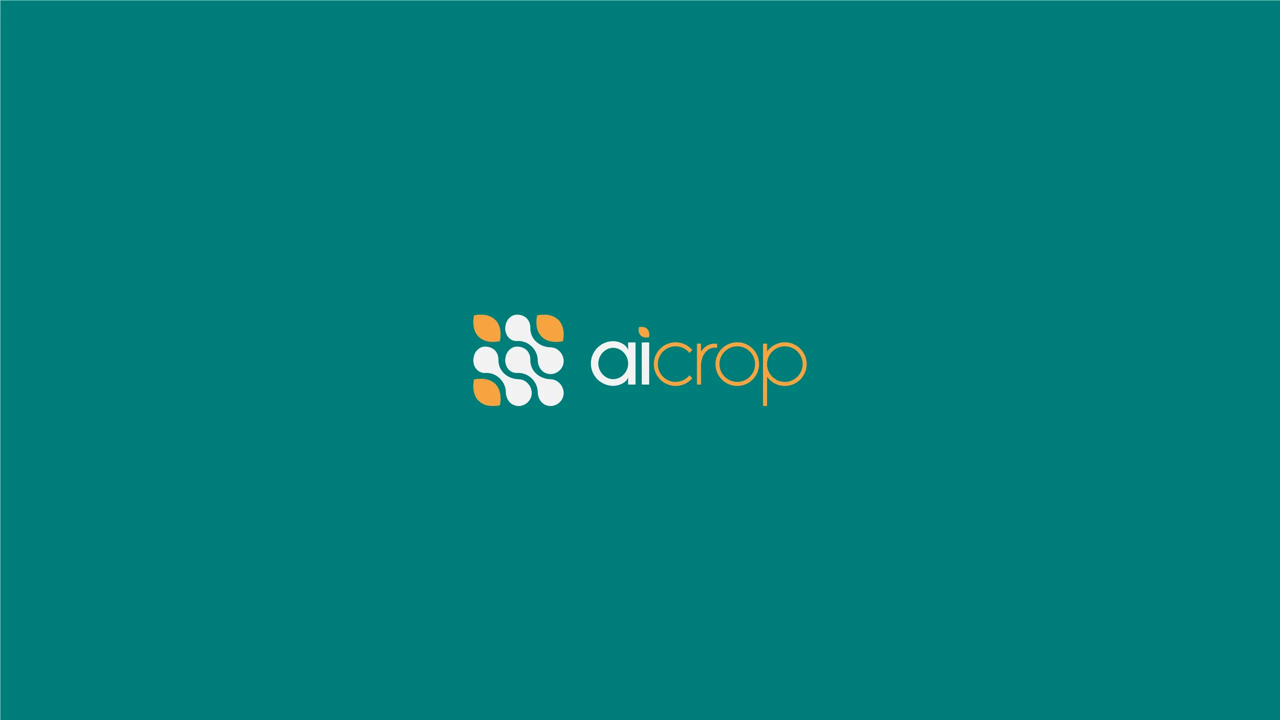 AiCrop brand identity 4